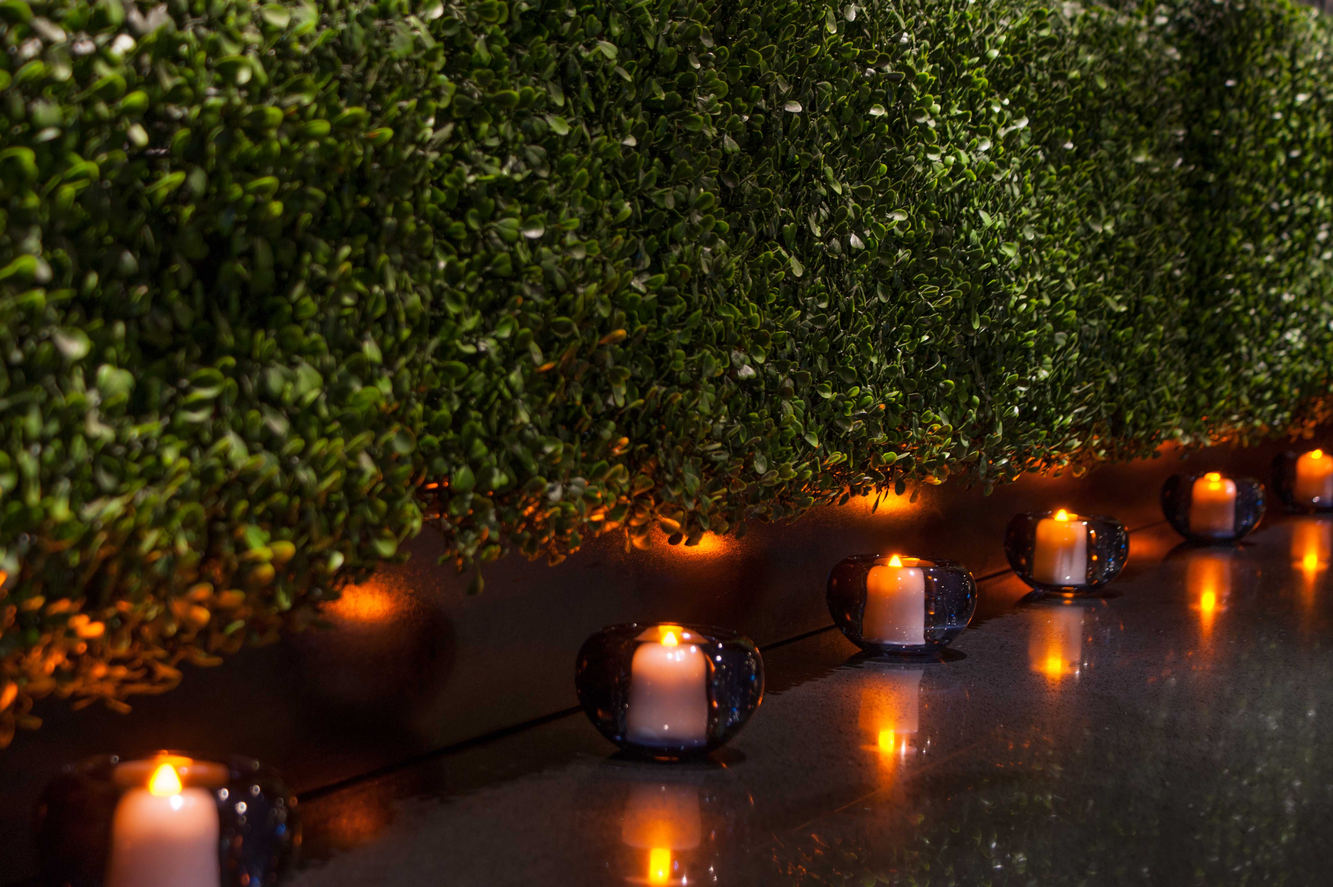 5 Hour Tea Lights in Bulk - Restaurant & Hotel Candles